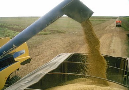 Nova lei dos caminhoneiros ameaça escoamento de safra histórica de soja
