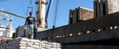 Receita com exportações de café por Santos aumenta 62,5%