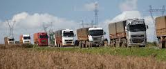 Exportações do agronegócio paulista somam US$ 1,31 bilhão em janeiro