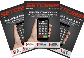 Edição 31 da Revista SETCESP já está disponível para download