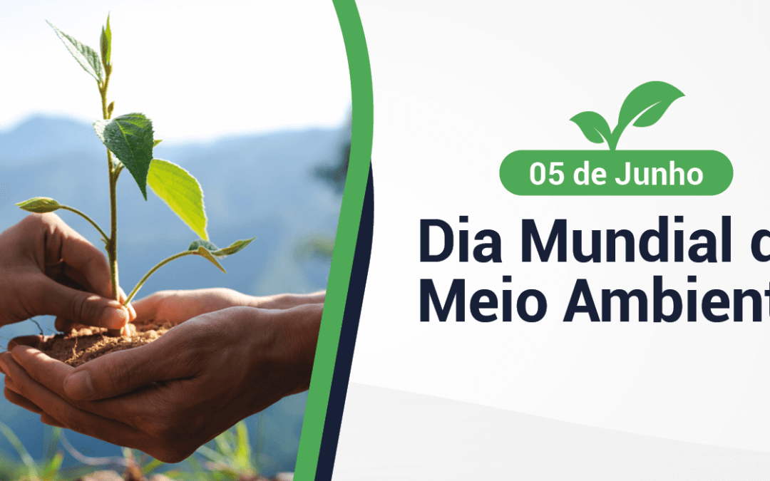 Dia Mundial do Meio Ambiente: o compromisso do TRC com um futuro sustentável