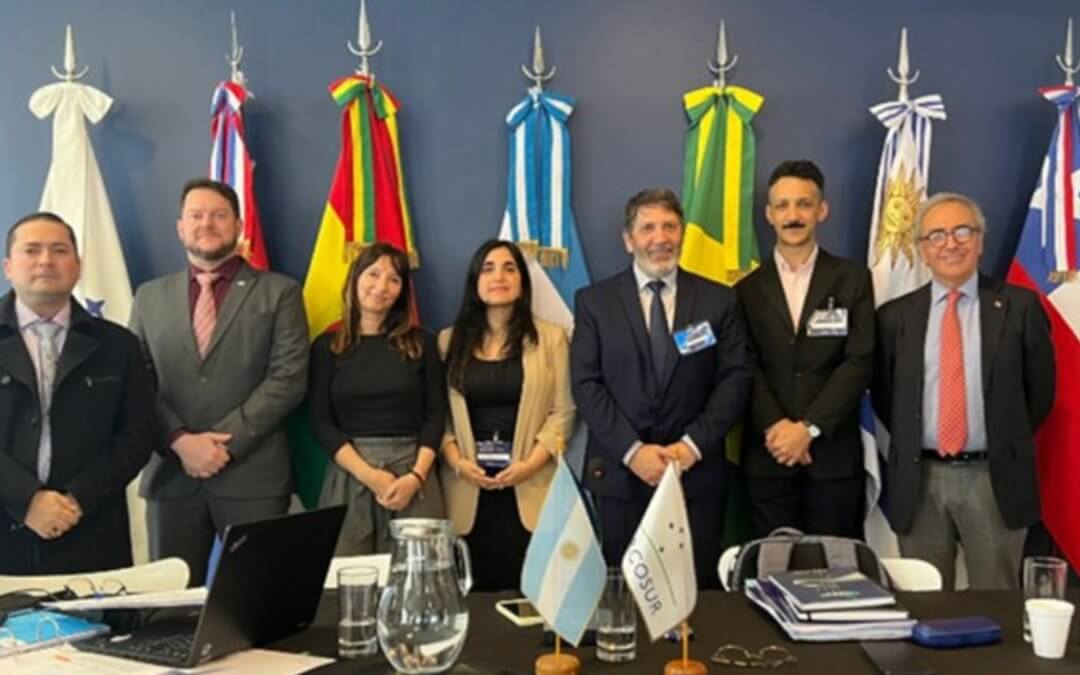ANTT lidera delegação brasileira em encontro do Mercosul e consolida avanços para o futuro do transporte terrestre
