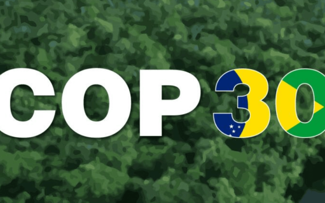 COP 30: transporte brasileiro terá protagonismo com painéis nas áreas oficiais
