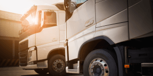 Seguros obrigatórios