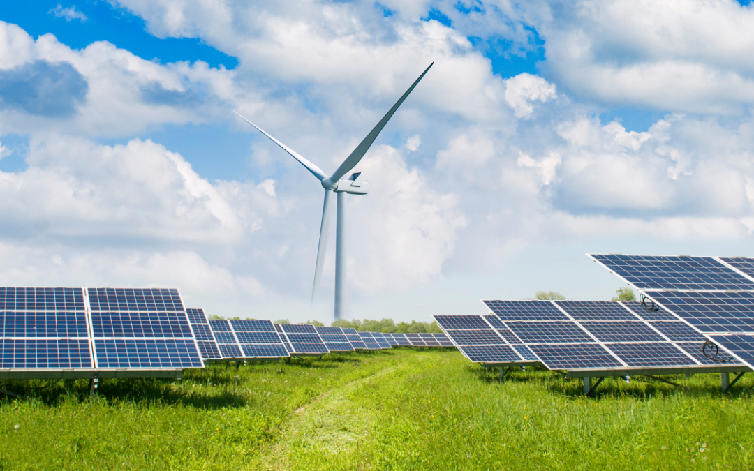 O que o Japão pode aprender com o Brasil na corrida pela transição energética